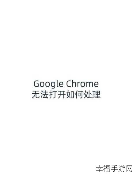 轻松解决！Google 浏览器中消除 input 控件点击黄色边框秘籍