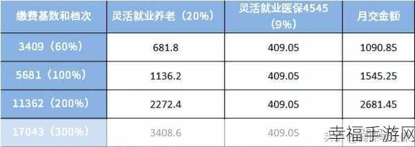 探索洛阳灵活就业医保缴费的便捷途径