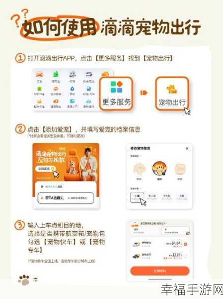 滴滴宠物专车服务揭秘，轻松找到入口，享受专属萌宠出行体验