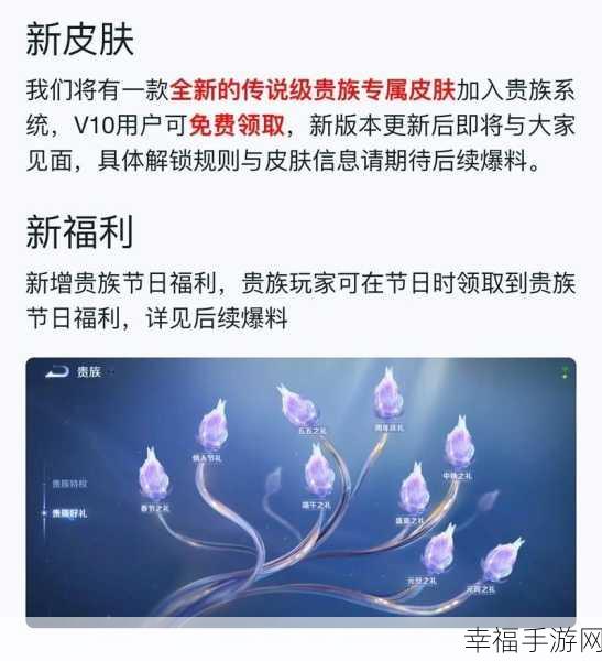 王者荣耀贵族10特权揭秘，皮肤共享功能全攻略