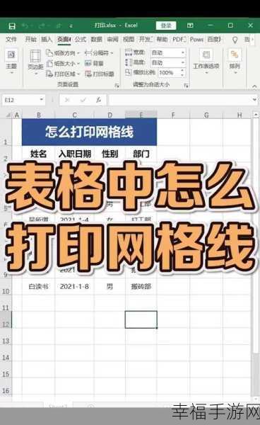 Excel 2007 中隐藏工作表网格线的奇妙技法