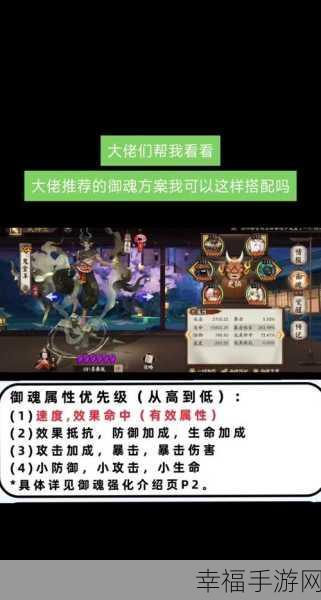 阴阳师探秘，猫妖踪迹全解析与御魂搭配攻略