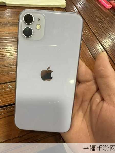 轻松知晓 iPhone11 手机产地的秘诀