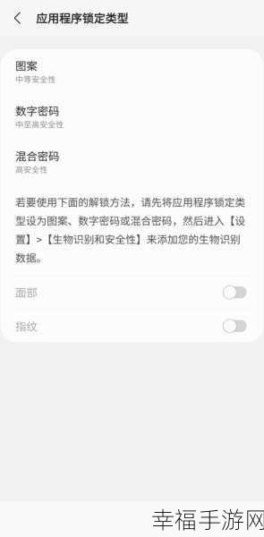 轻松搞定电脑应用锁，隐私保护秘籍大公开