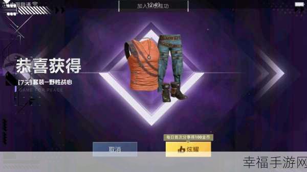 和平精英,揭秘高效获取稀有皮肤的实战攻略