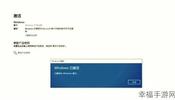 探寻正版 Win10 专业版电脑激活密钥之谜