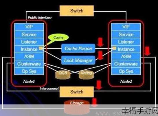 轻松应对！Oracle 数据库中文乱码终极解决方案