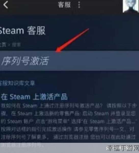 Steam 激活 Key 秘籍大公开