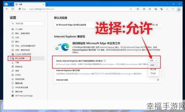 轻松搞定！Win10 电脑 IE 浏览器历史表单数据删除秘籍