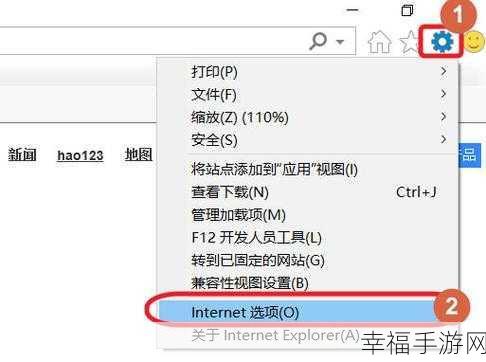 轻松搞定！Win10 电脑 IE 浏览器历史表单数据删除秘籍