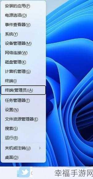Win11 微软商店图片加载难题破解秘籍