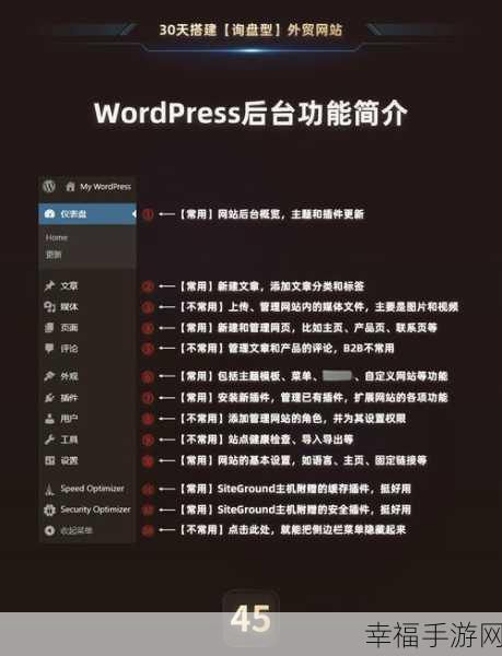 WordPress 内页侧边栏消失与主页主页选项缺失之谜