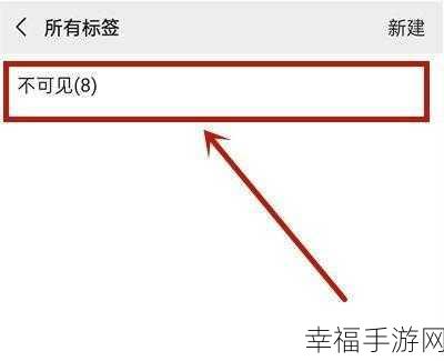 微信分组标签改名与删除秘籍，一键掌握！