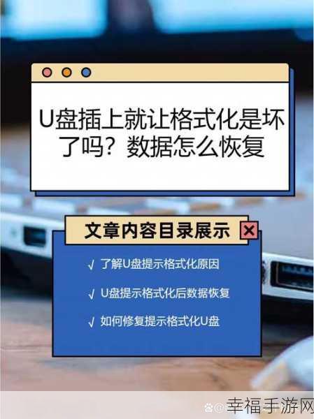 MacOS 中 U 盘文件系统选择与格式化数据恢复秘籍