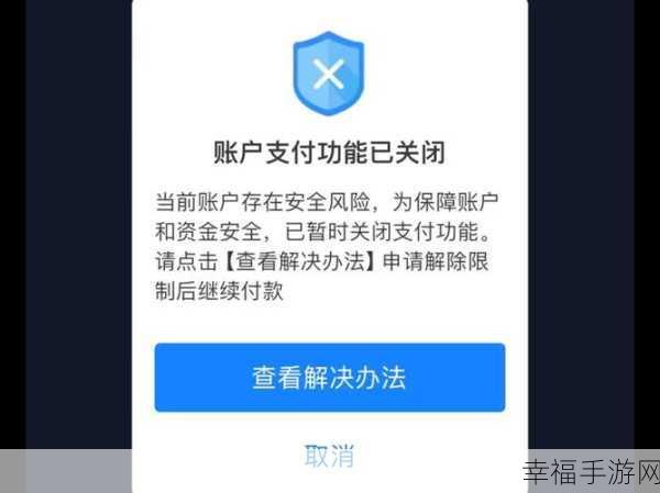 支付宝账户受限？解锁秘籍在此！