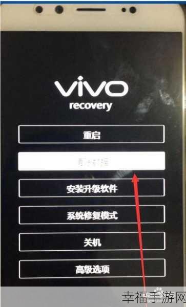 vivo 手机隐私密码遗忘解锁难题，终极攻略在此！