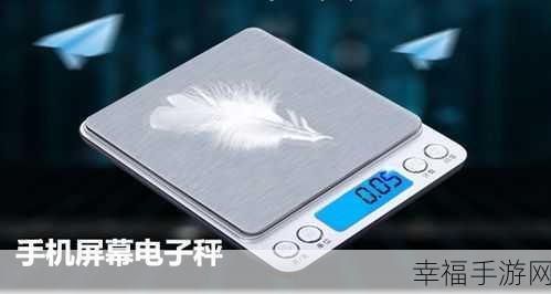 探索苹果手机隐藏神器，touchscale 电子秤