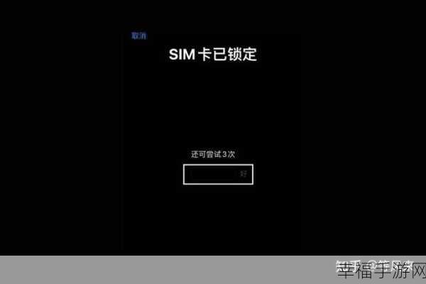 iPhone 12 设定 PIN 码的详细指南