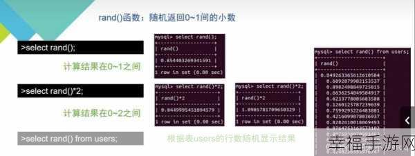 SQL 查询结果的随机性之谜，真相大揭秘