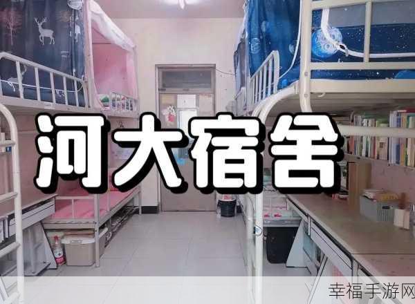 大学换宿舍之困,无法忍受的现状与艰难抉择