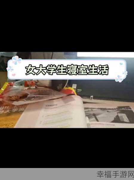 大学换宿舍之困,无法忍受的现状与艰难抉择
