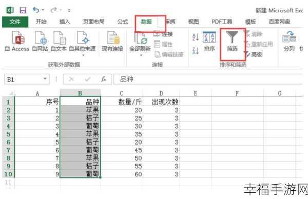 Excel 筛选功能秘籍,轻松掌握实用技巧