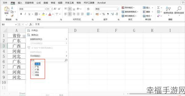 Excel 筛选功能秘籍,轻松掌握实用技巧