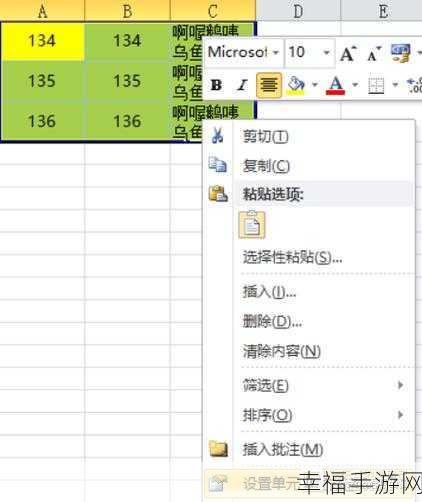 Excel 文字行间距与行高调整秘籍大公开