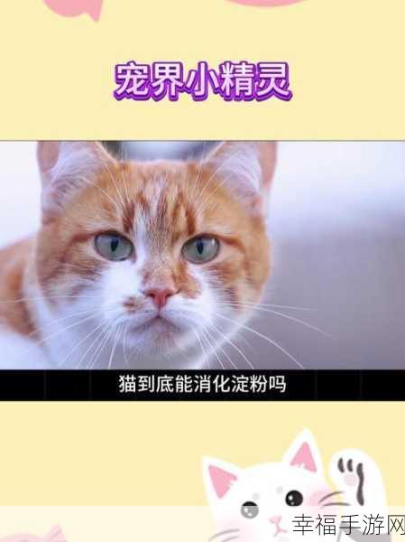 萌宠出击！猫咪城市英雄带你领略喵界冒险新纪元