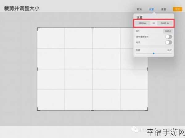 Procreate 画布等分秘籍，轻松实现精准绘图