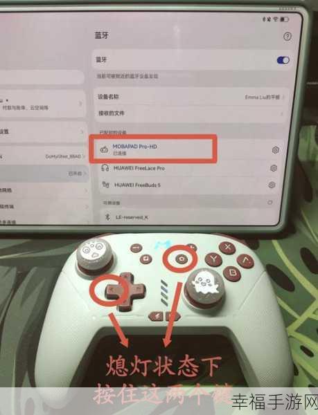 轻松搞定！Switch 连接电脑显示器的详细指南