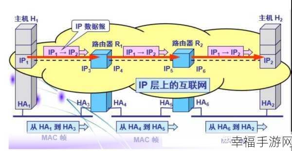 探究，IP 地址为何如此关键？