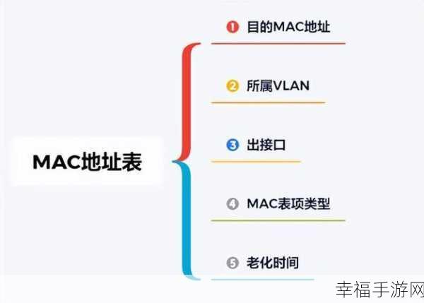 轻松掌握，快速获取 Mac IP 地址的神技巧