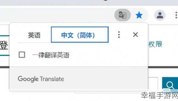 Google 浏览器为何无法翻译网页？深度解析与解决方案