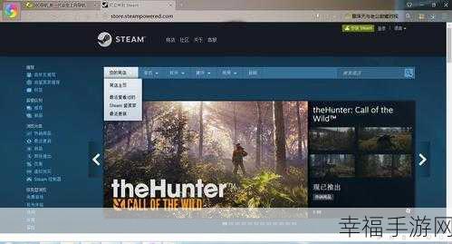 浏览器访问 Steam 网页受阻？解决方案在此！
