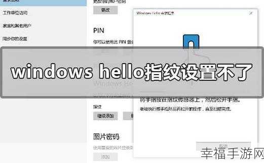 Win10 开机密码灰色无法输入，开机难题如何破解？