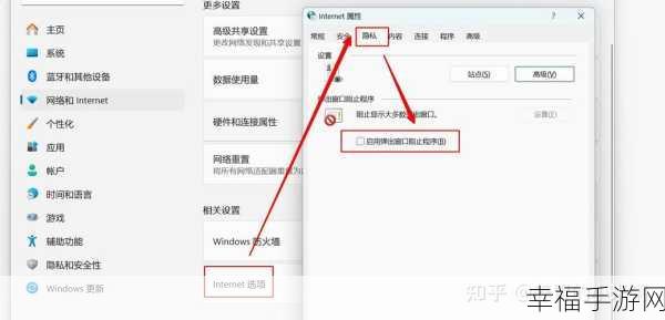 Win10 电脑中 IE 浏览器神秘消失？解决攻略在此！