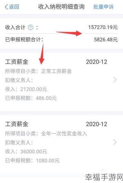 轻松掌握纳税明细查询之道，明明白白交税