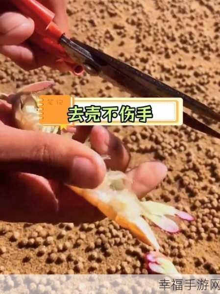 轻松解决！皮皮虾推送消息关闭秘籍