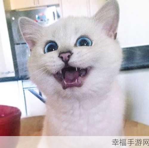 像素猫咪大冒险，猫的梦想点击过关手游精彩解析