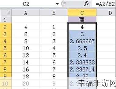 轻松掌握 Excel 除法百分比公式输入秘籍