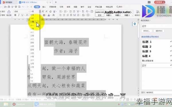 轻松搞定 WORD 两页变一页的秘诀