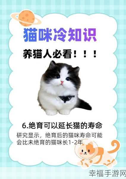 萌宠养成新体验，猫咪的秘密森林——休闲养猫小游戏深度解析