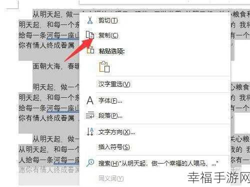轻松搞定 Word 文档内容复制秘籍
