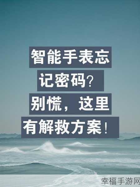 忘记个人所得税账号密码？别慌，攻略在此！