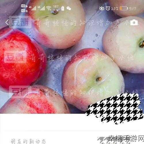 深度解析微信仅聊天功能的奥秘与价值