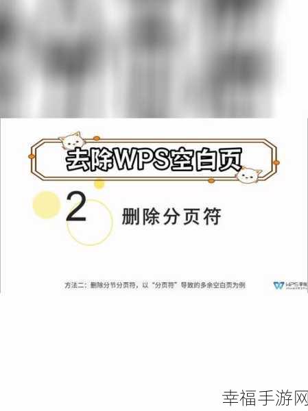 WPS 文档空白页删除之谜，为何最后一页难以攻克？