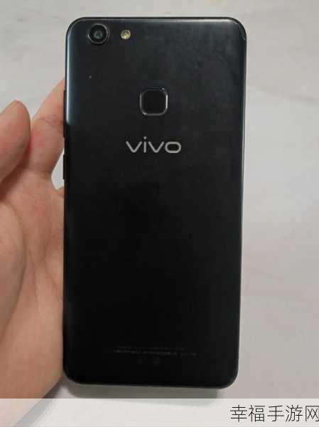 vivo X 20 与 Y79 全方位大揭秘，差异一览无余