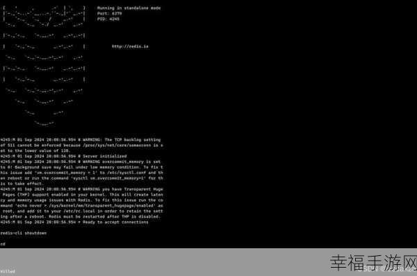 轻松掌握，Redis 在 Linux 中的启动秘籍