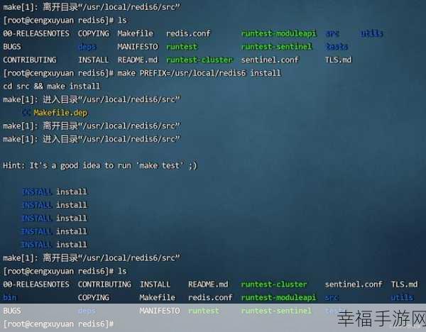 轻松掌握，Redis 在 Linux 中的启动秘籍